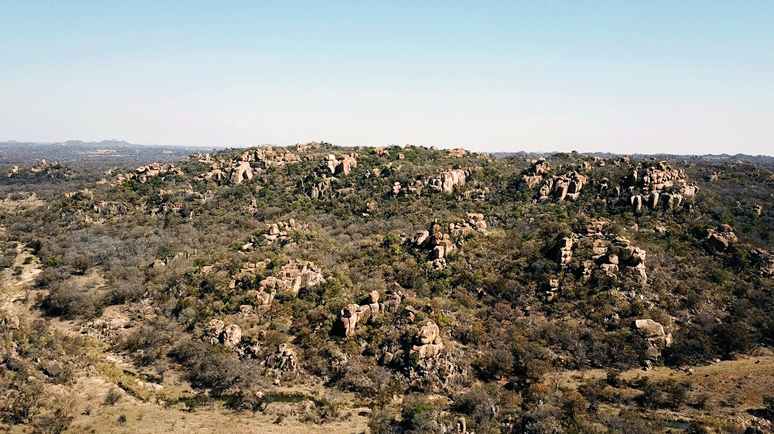 Isibaya Leopard Conservation Project