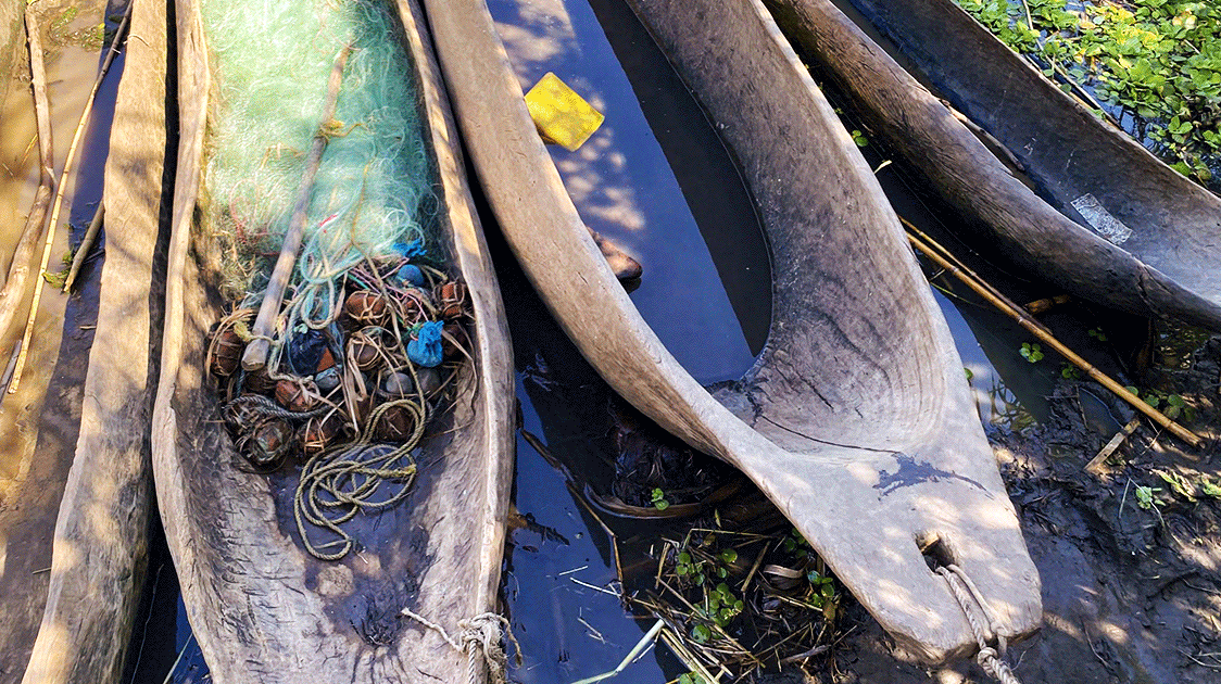 Tree Poaching for Boat Building (6-Minute Video)