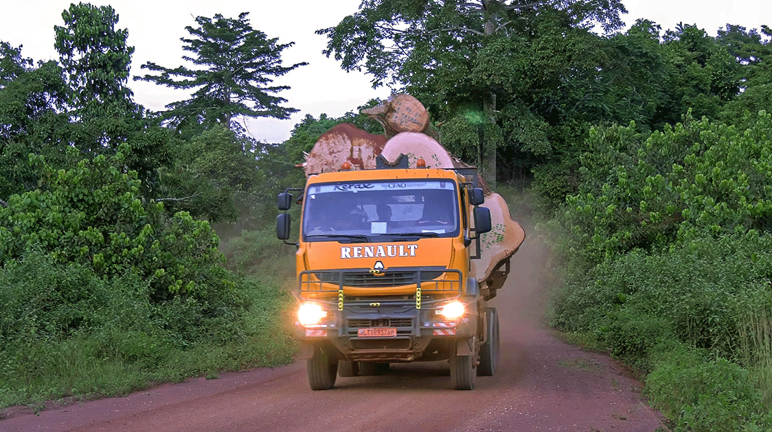 Gallery Forests of Central Cameroon: Protecting Biodiversity (6-minute Video)