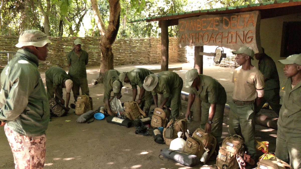 Poaching Threats