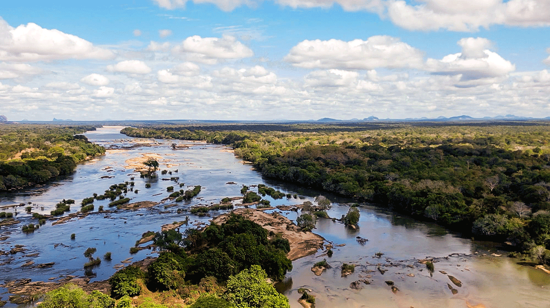 The Lugenda Foundation: Community-Led Conservation in Mozambique(5-minute Video)