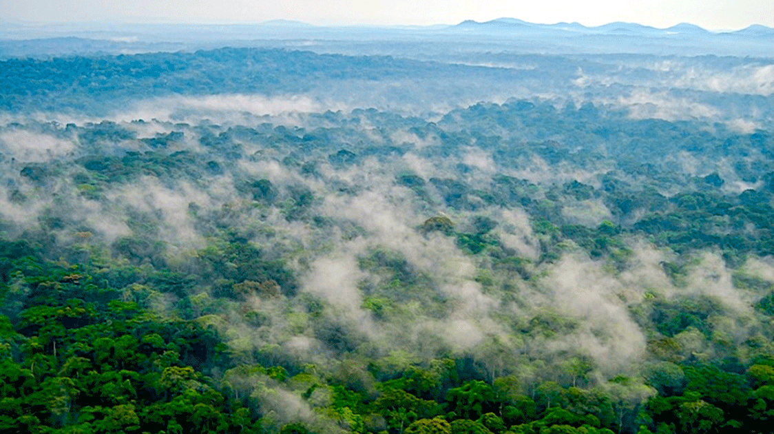 Global Biodiversity Loss, Ecosystem Collapse and National Security