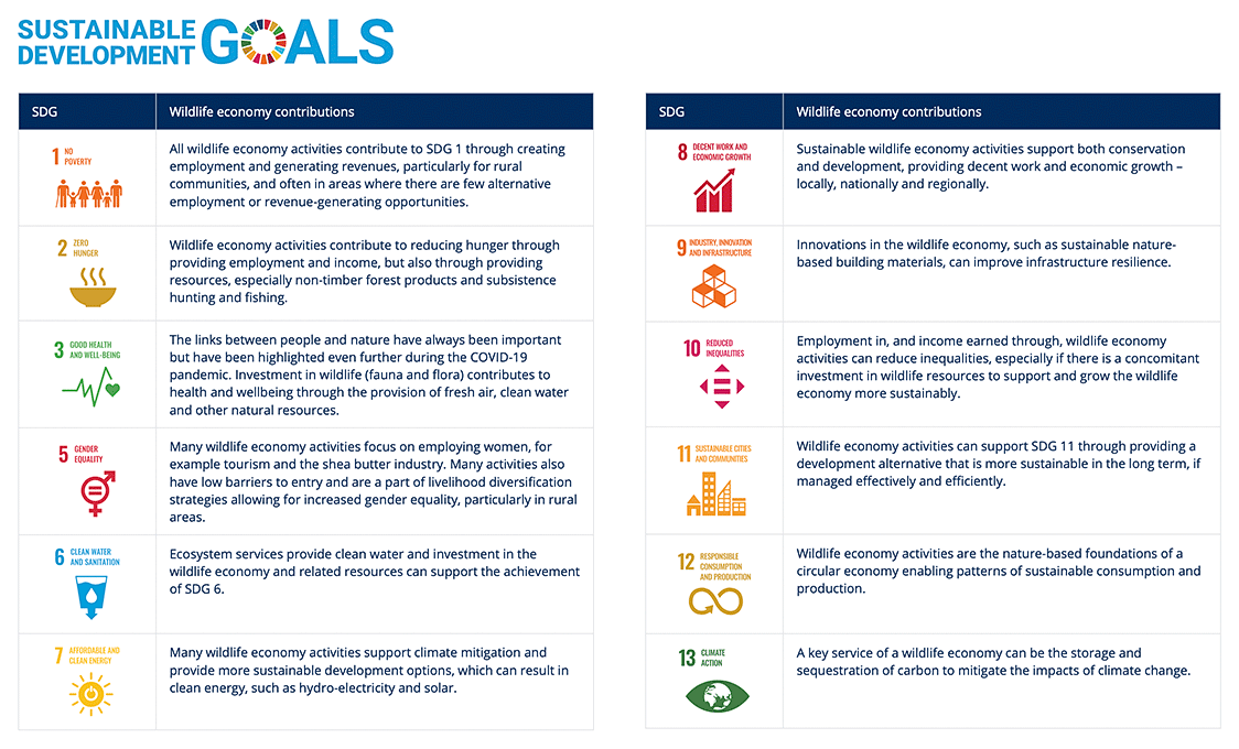 Sustainable Development Goals (SDGs) and the Wildlife Economy (5-minute Video)