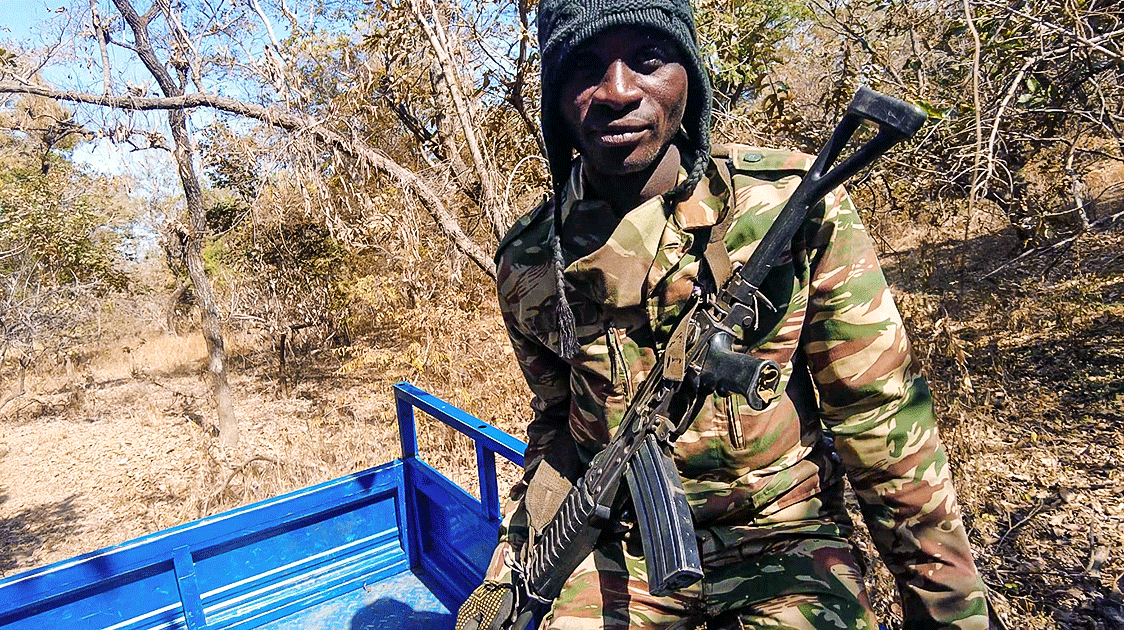 Crossroads of Crisis: Northern Cameroon's Poaching Epidemic (5-minute Video)