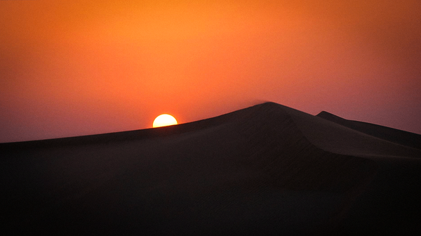 The Inevitable Cascade: From Wildlife to Cattle to Camels, Comparing the Desertification of Arabia and East Africa