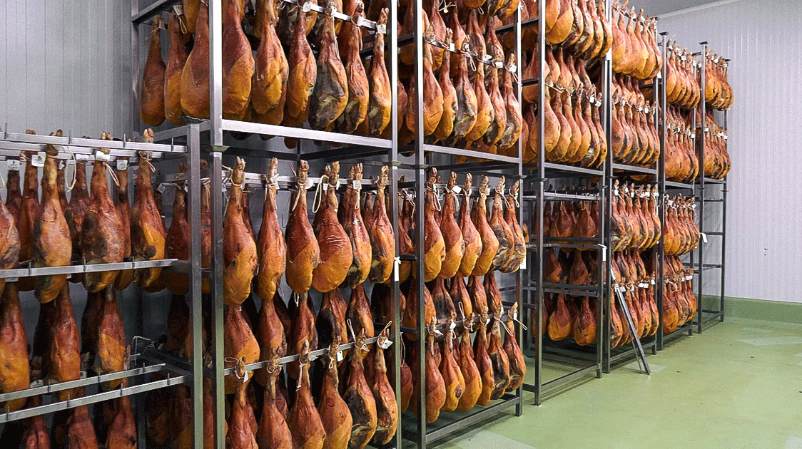 Europe Proved It: Commercial Wild Meat Can Save Wildlife (Not Destroy It)(8-minute Video)