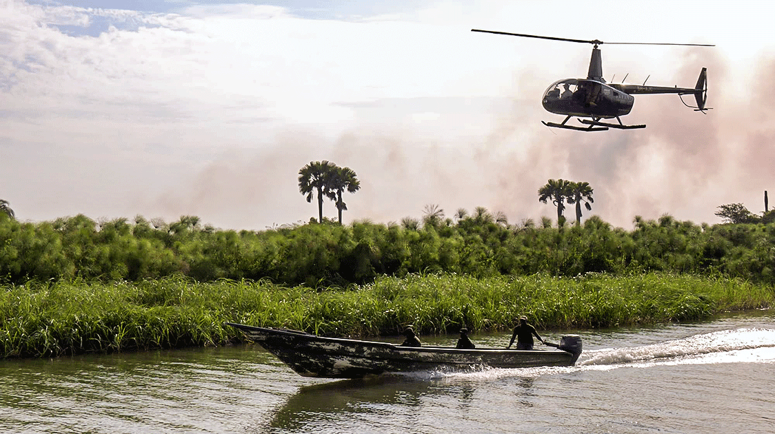 2025: A Year in the Field