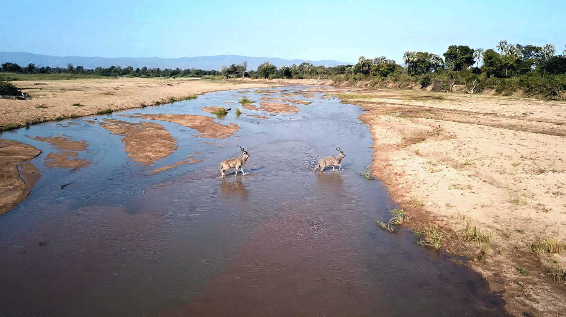 Photo Essay: Humani, The Save Valley Conservancy