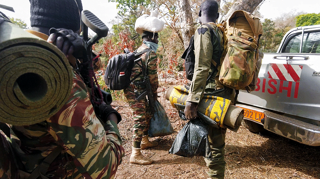 A Wilderness on the Precipice: Northern Cameroon (Full Documentary 28 minutes)