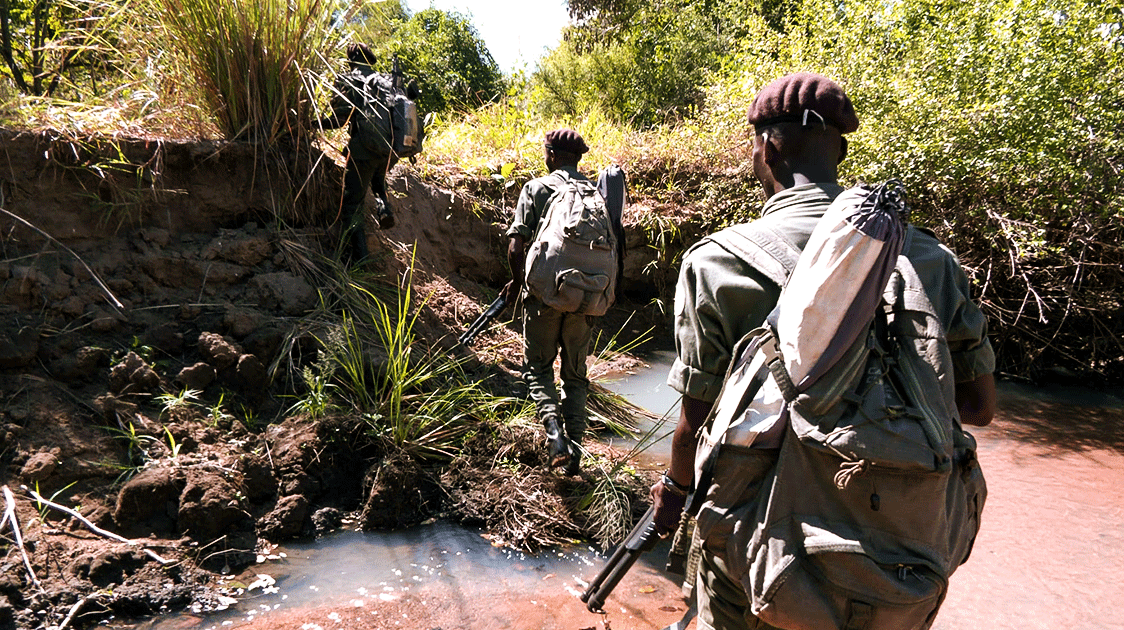 The Enforcement Trap