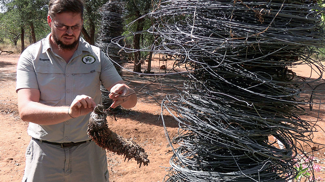 Repurposing Snares for Good (6-minute Video)