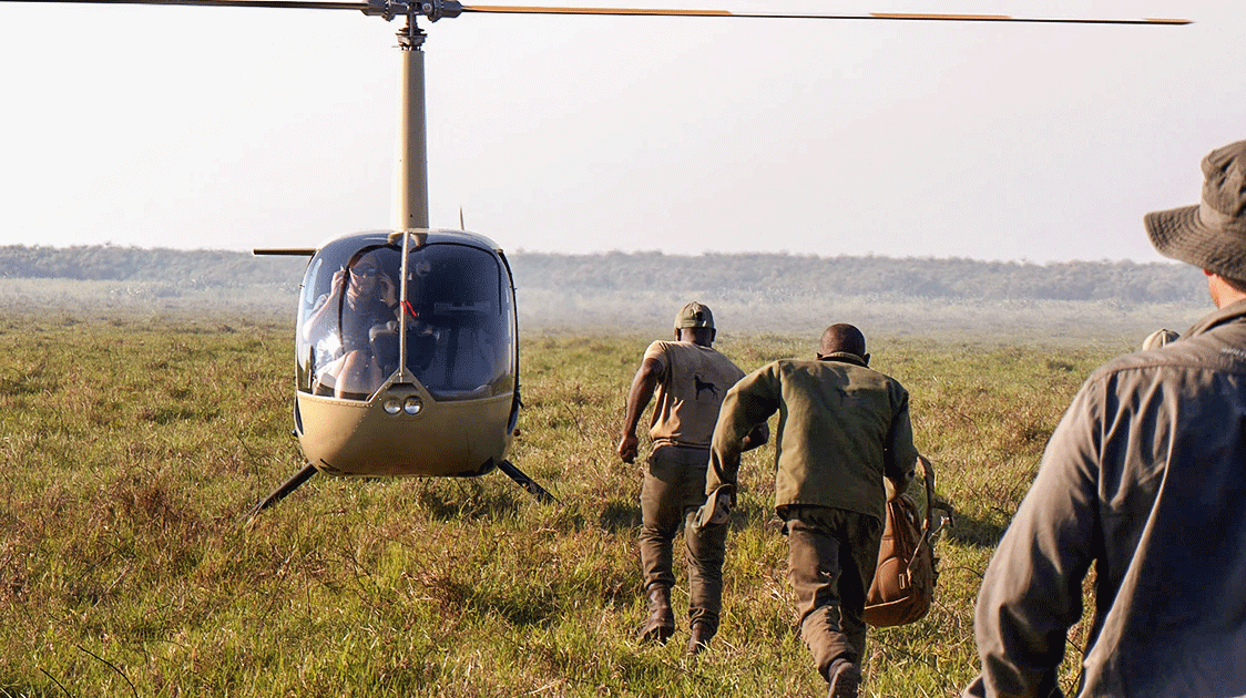 Professional Hunters on Patrol (8-Minute Video)