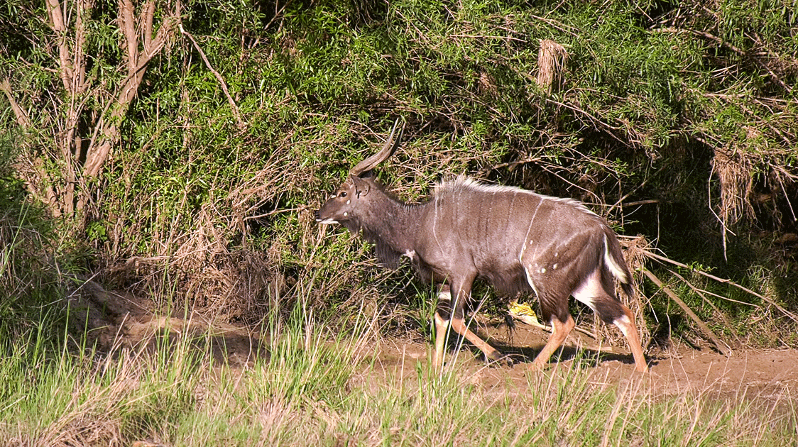 Community Conservation Partnership (15-minute Video)