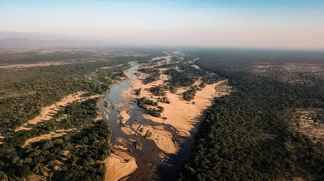 The Evolution of a Wildlife Sanctuary