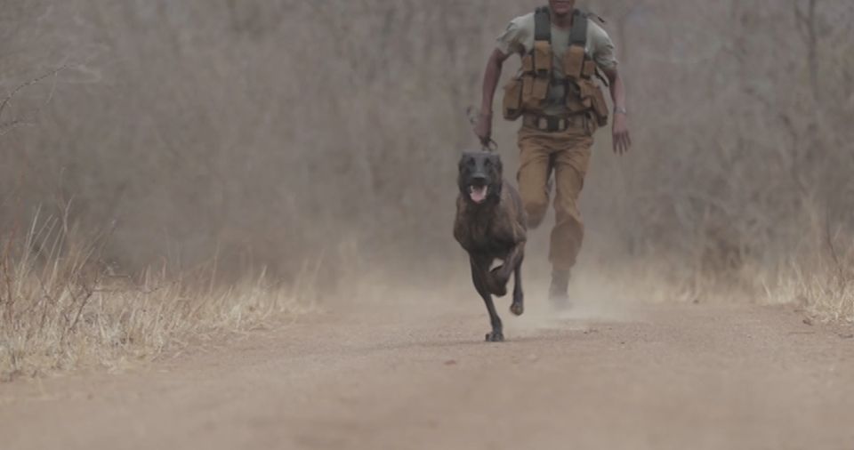 Anti-Poaching K-9s: Take Action Dog Unit