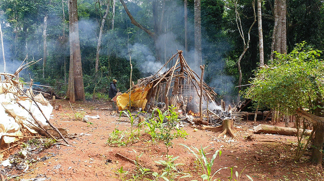 Mayo Oldiri, Anti-poaching Operations in Cameroon