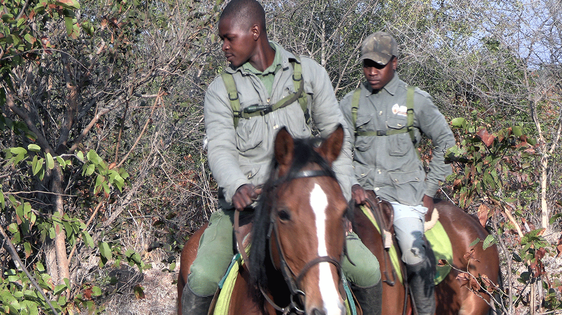 On Patrol with IMPI Horseback Unit